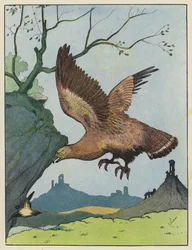 Eagle Chasing a Bird